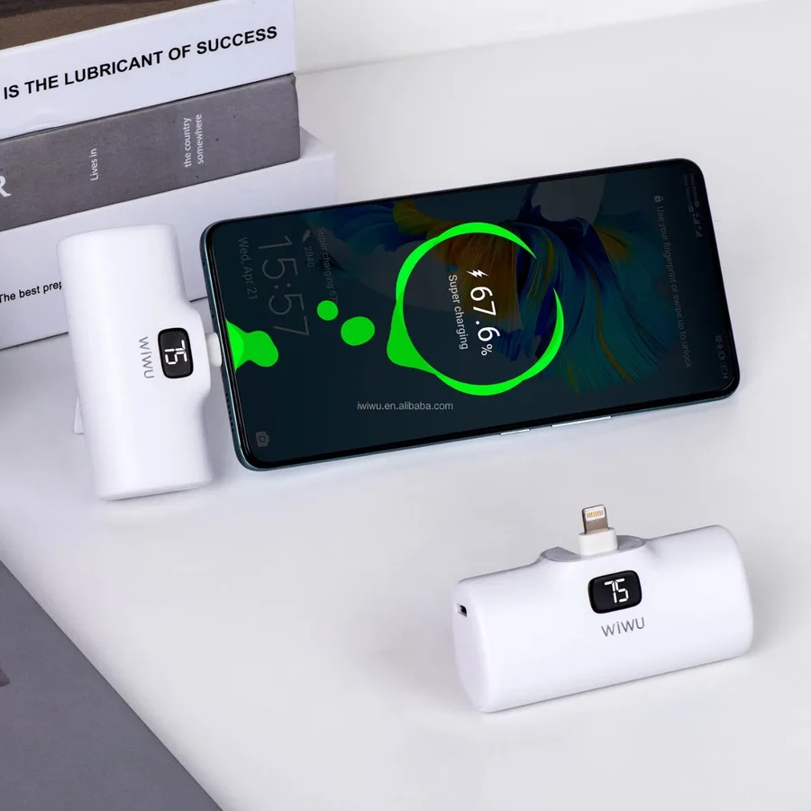 باور بانك WIWU — WiWU New 5000mAh Capsule Tail Plug Mobile 2 in 1 Power Bank P017